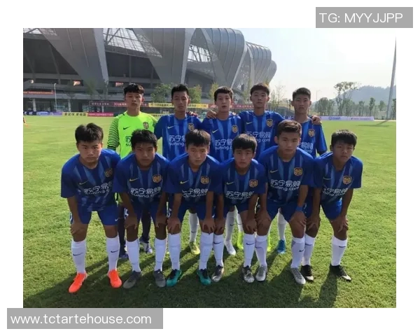 冰岛与罗马尼亚的足球对决分析与赛前预测