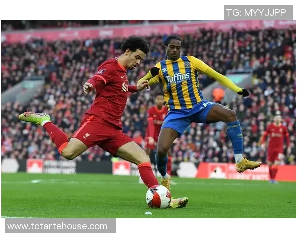 范戴克：从青涩小将到世界顶级后卫的传奇之路与足球哲学