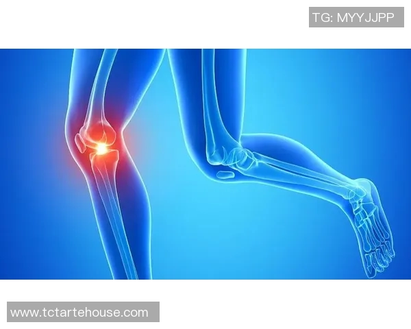 选择适合你的网球鞋提升运动表现的全面指南与推荐