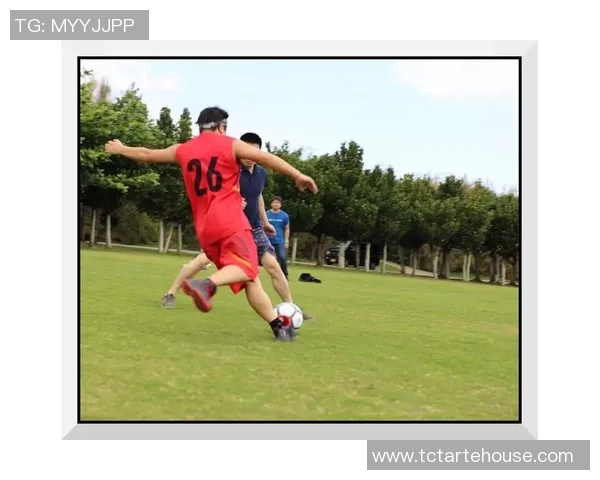 阳江二中足球比赛现场直播精彩回顾与精彩瞬间分享