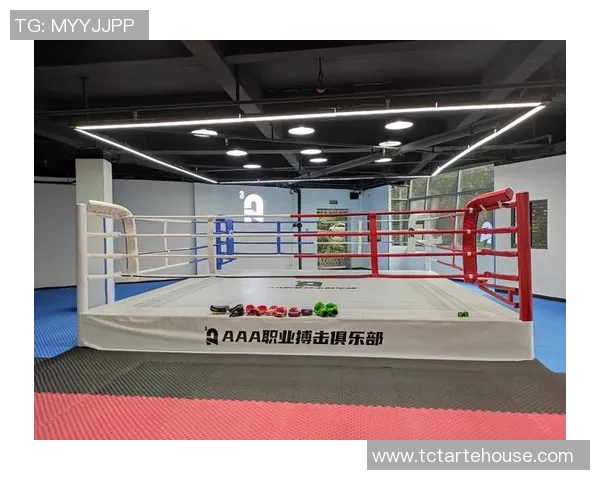 无限制自由搏击的魅力与挑战探讨之旅